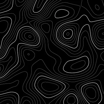 Topographic map background. Grid map. Vector illustration . Stock Illustration