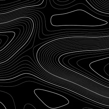 Topographic map background. Grid map. Vector illustration . Stock Illustration