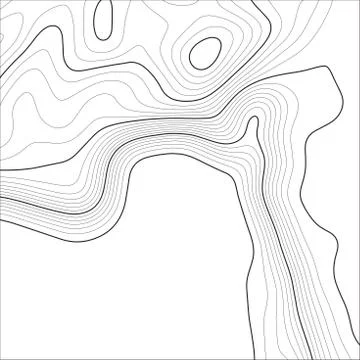 Topographic map background. Grid map. Vector illustration . Stock Illustration