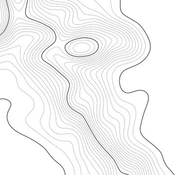 Topographic map background. Grid map. Vector illustration . Stock Illustration