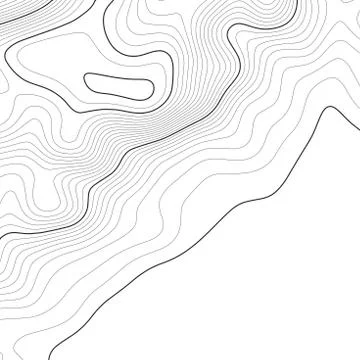 Topographic map background. Grid map. Vector illustration . イラスト素材
