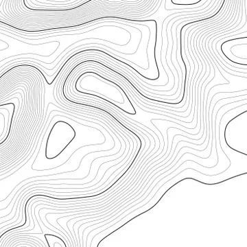 Topographic map background. Grid map. Vector illustration . Stock Illustration