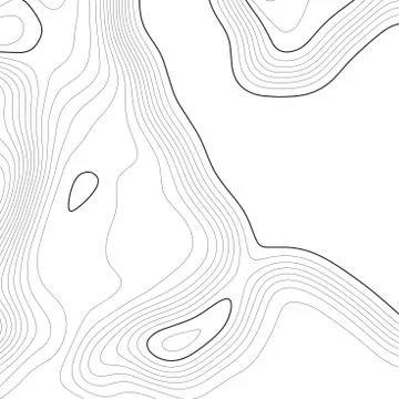 Topographic map background. Grid map. Vector illustration . イラスト素材