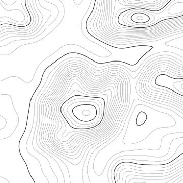 Topographic map background. Grid map. Vector illustration . Stock Illustration