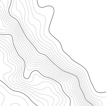Topographic map background. Grid map. Vector illustration . Stock Illustration