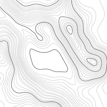 Topographic map background. Grid map. Vector illustration . Stock Illustration