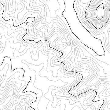 Topographic map background. Grid map. Vector illustration . Stock Illustration