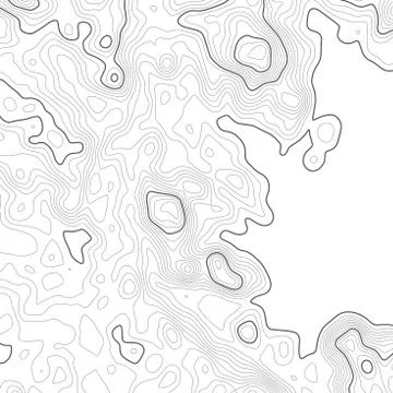 Topographic map background. Grid map. Vector illustration . イラスト素材