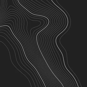 Topographic map background. Grid map. Contour. Vector illustration. Illustrazione stock