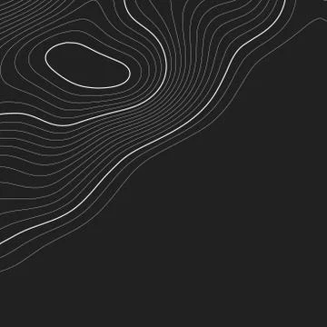 Topographic map background. Grid map. Contour. Vector illustration. Stock Illustration