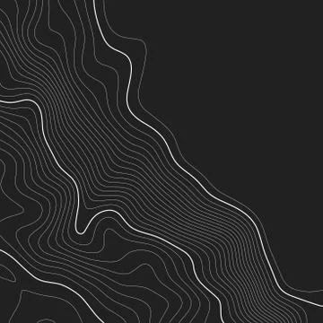 Topographic map background. Grid map. Contour. Vector illustration. Stock Illustration