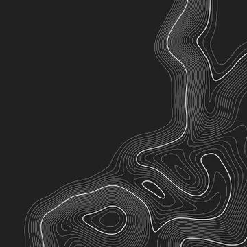 Topographic map background. Grid map. Contour. Vector illustration. イラスト素材