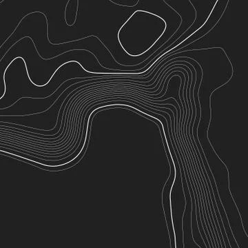 Topographic map background. Grid map. Contour. Vector illustration. Illustrazione stock