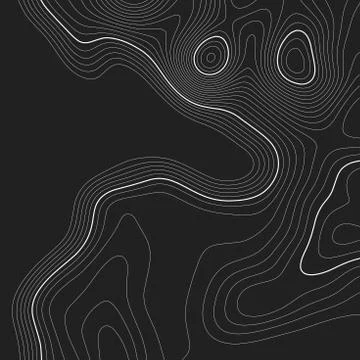 Topographic map background. Grid map. Contour. Vector illustration. イラスト素材
