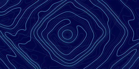 Topographic map on blue background. Geographic line map with elevation assi.. Stock Illustration