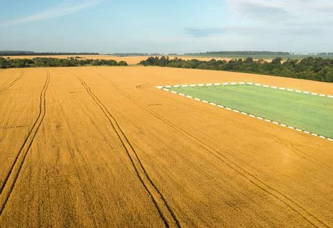 Topographic map of land plot for leasing. Sale field land for agribusiness. Fotos de archivo