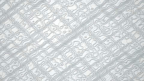 Topographic map lines animated seamless loop motion background Stock Footage 347972839