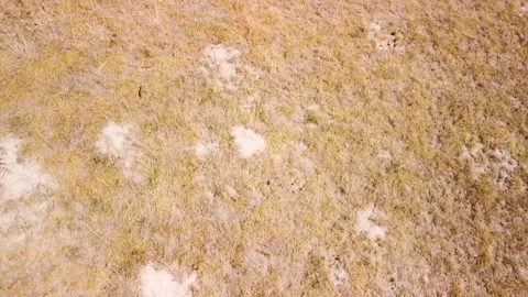 Topographic pyramid, old marker, leftover of Austro-Hungarian Empire on the h Stock Footage 140811459