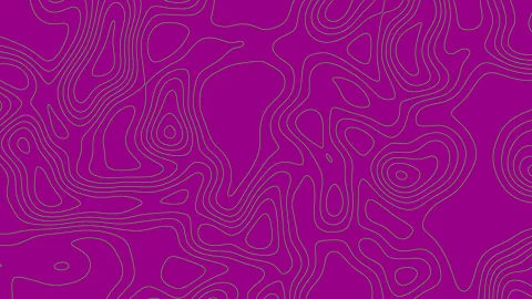 Topography map background concept. Topography map with lines. Vídeos de archivo 313448858