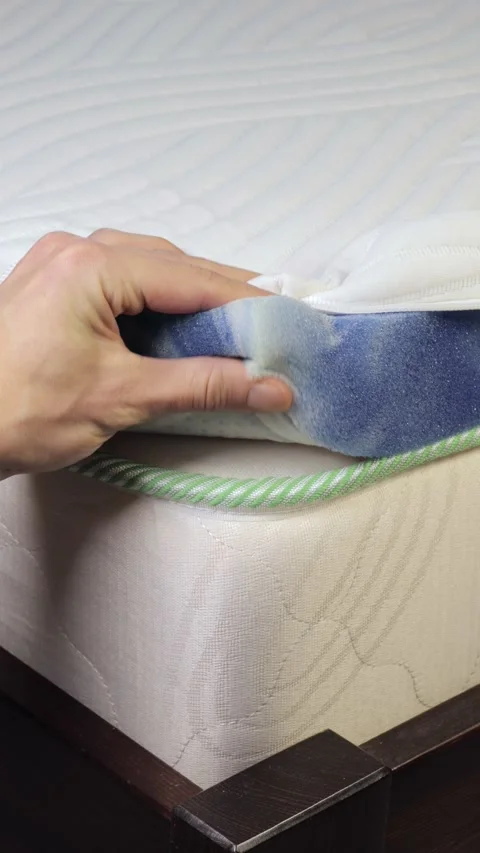 Topper Stock Footage 322122538