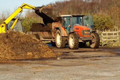 Topping up with manure Stock Photos