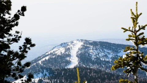 The tops of coniferous trees swaying in the wind in winter against the sky and t Stock-Footage 105040679