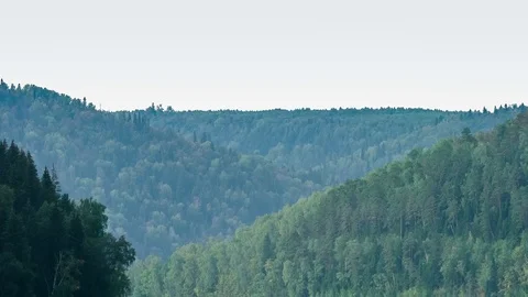 Tops of firs. Mountain pine forest. Gray sky. Small fog. Haze. Autumn in the Video stock 73509636