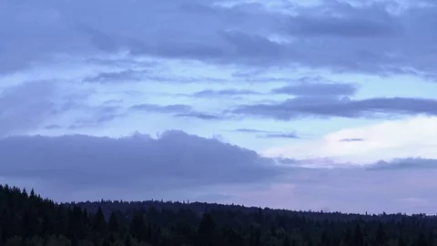 Tops of firs. Mountain pine forest. Blue sky. Moving clouds. Small fog. Ural Stock Footage 74013276