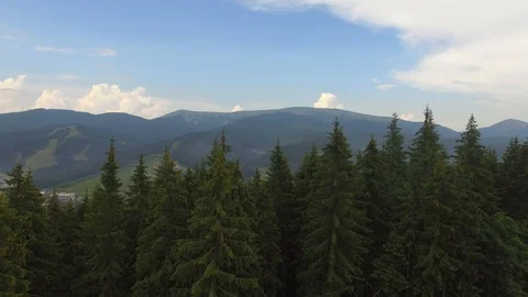 The tops of the forest among the mountains from the height of bird flight Stock Footage