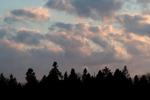 Tops of forest trees and clouds on a blue sky Stock Photos