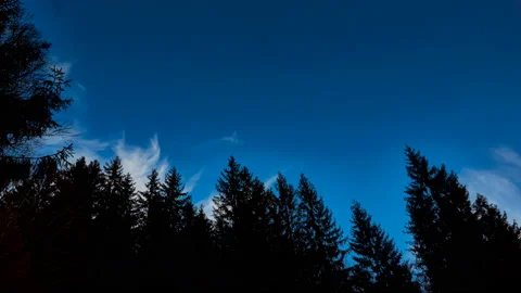 The tops of high mountain trees and a blue sky with clouds. Stock Footage 135495467