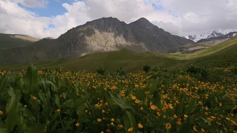 Tops of  Mountain Range and smooth movement of clouds among snow-capped  peaks 動画素材 87750503