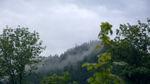 The tops of the mountains are covered with clouds. Summer warm rain. Stock Footage 114759885