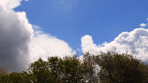 Tops of trees and the clouds in the sky Stock Footage 108643401