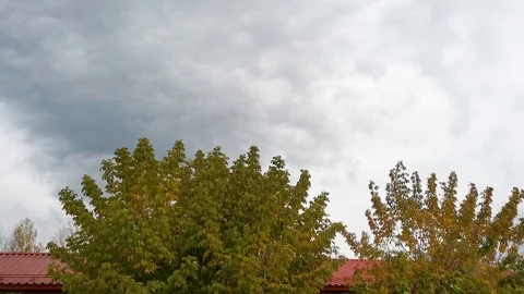 The tops of trees and rooftops on the background of clouds in autumn Video stock 120182174