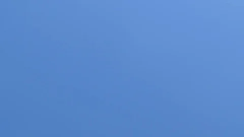 Tops of the trees in spring forest. Sunny weather. Vertical panning Stock Footage 74436578
