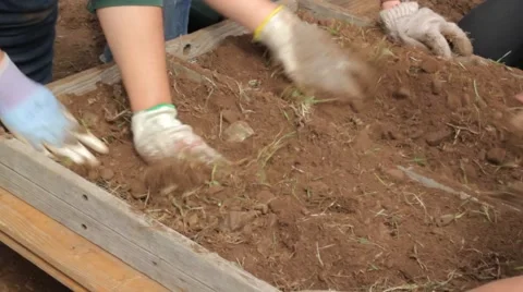 Topsoil sieve with hands Stock Footage 59122368