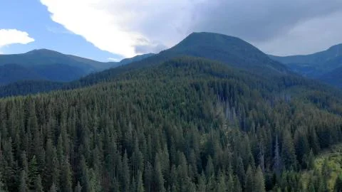 Topview of forests in mountains. Stock Photos