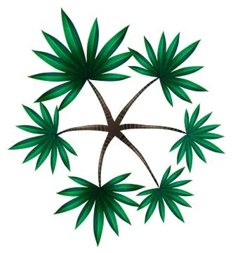 A topview of a palm Stock Illustration
