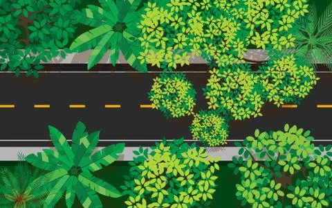 Topview the road in the jugle Stock Illustration