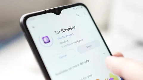 Tor Browser App Downloading on a Smartphone Screen Closeup Stock Footage 247522020
