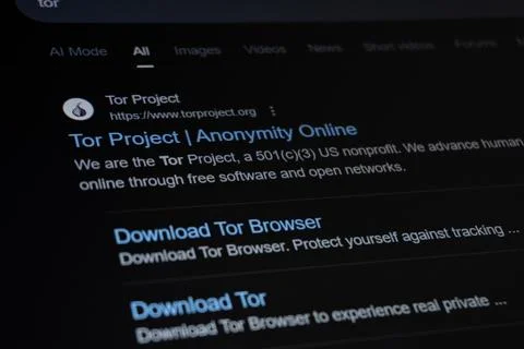 Tor browser. Web privacy concept.  Baku, Azerbaijan. 29.11.2025. Stock Photos