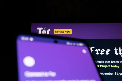 Tor browser. Web privacy concept.  Baku, Azerbaijan. 29.11.2025. Stock Photos