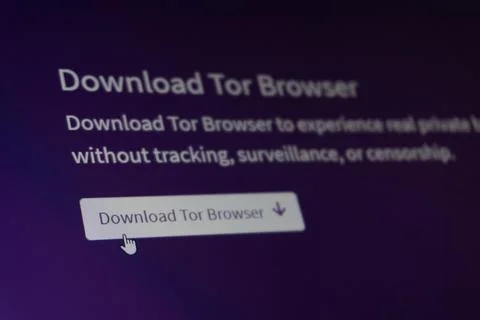 Tor browser. Web privacy concept.  Baku, Azerbaijan. 29.11.2025. Stock Photos