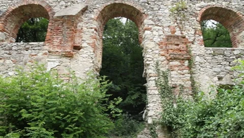 Tor of a ruin Vídeos de archivo 8523144