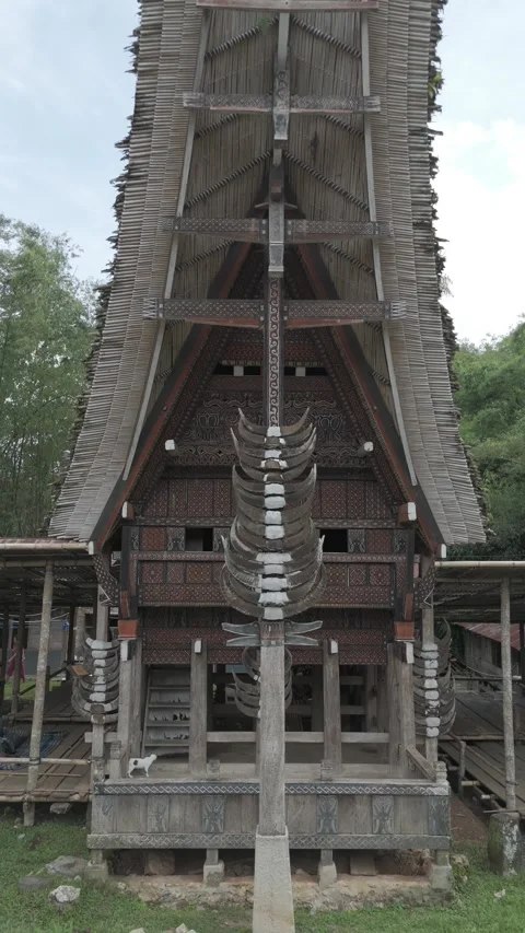 TORAJA 10 Stock Footage 323114138