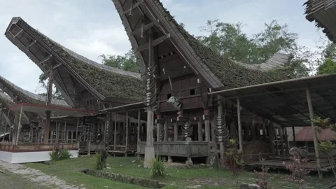 TORAJA 12 Video stock 323114180