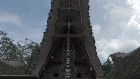 TORAJA 17 Stock Footage 323114347