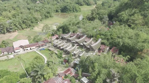 TORAJA 2 Stock Footage 323113980