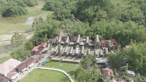 TORAJA 3 Stock Footage 323114022